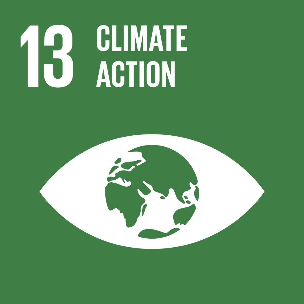 Theglobalgoals Icons Color Goal 13