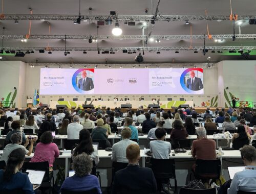 ENGSO Youth at COP30 via Young European Leadership