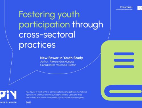 NPiY Fostering youth participation through cross sectoral practices 2025 page